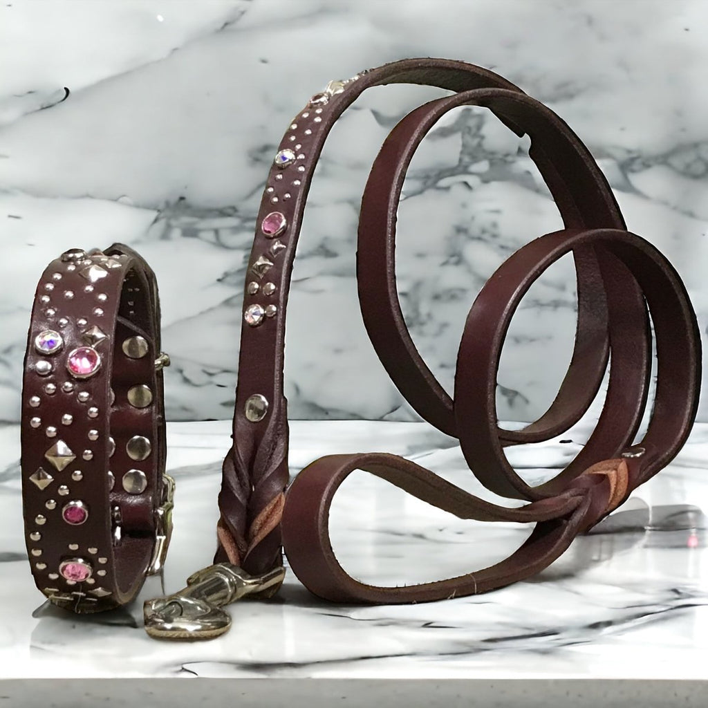 Stargazer SL Leather Dog Collar