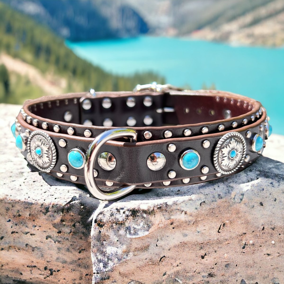 Custom Leather Dog Collar Bahia
