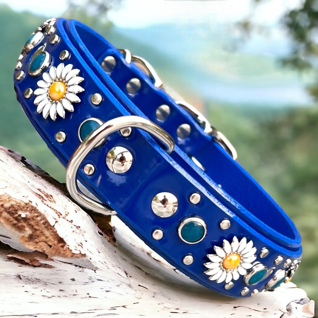 Blue Dog Collar Kalina