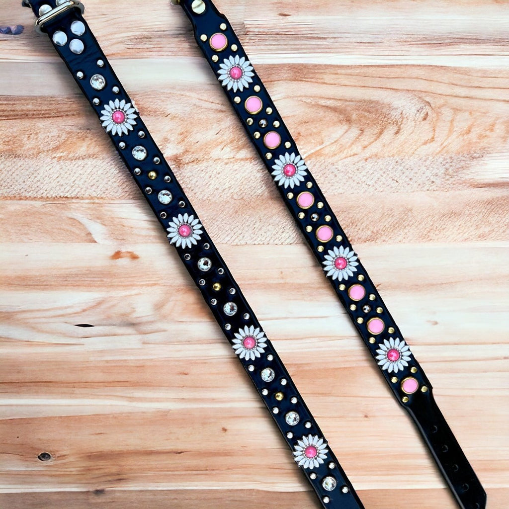 Designer Leather Dog Collar Yessena