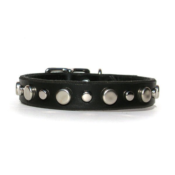 Mission Leather Dog Collar
