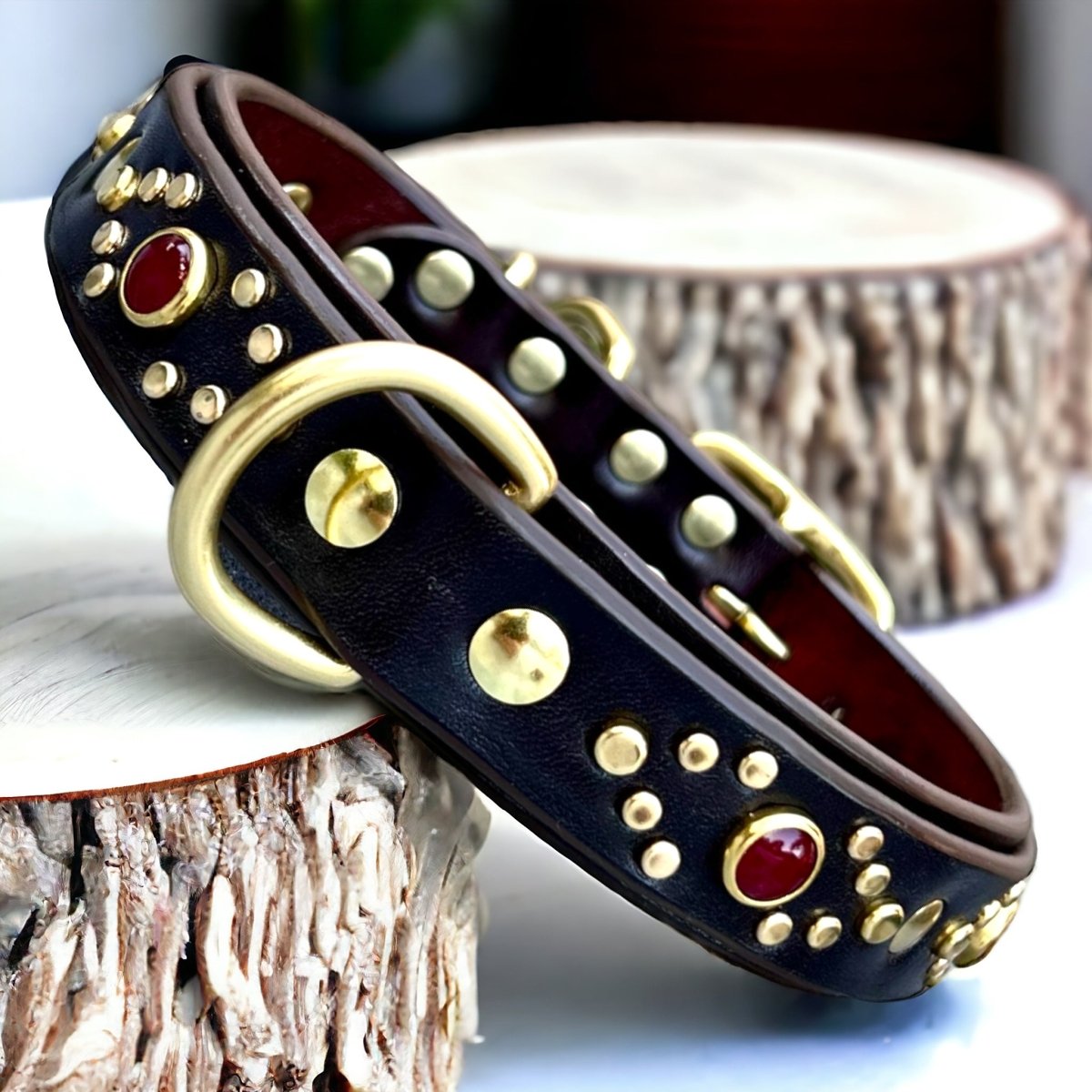 Phoenix Leather Dog Collar