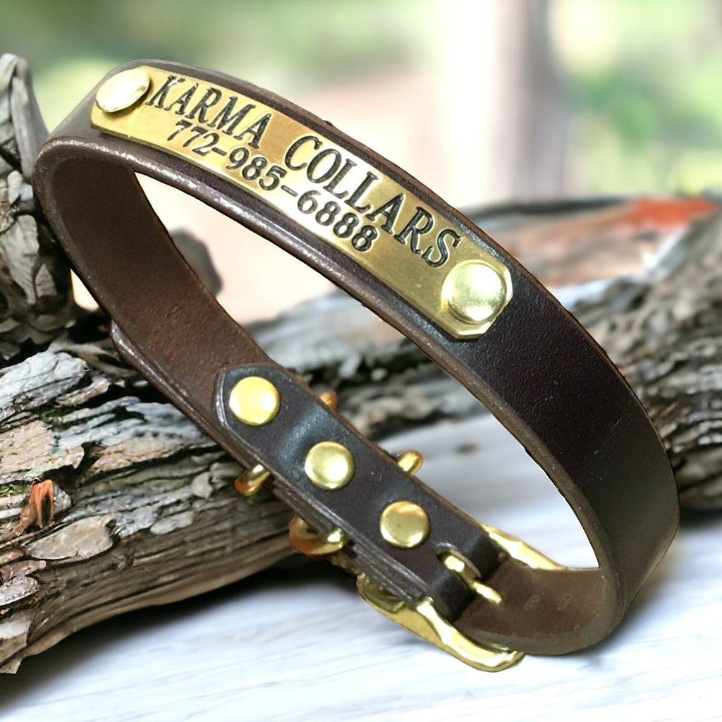 3/4" Wide Basic Leather Dog Collar with Nameplate