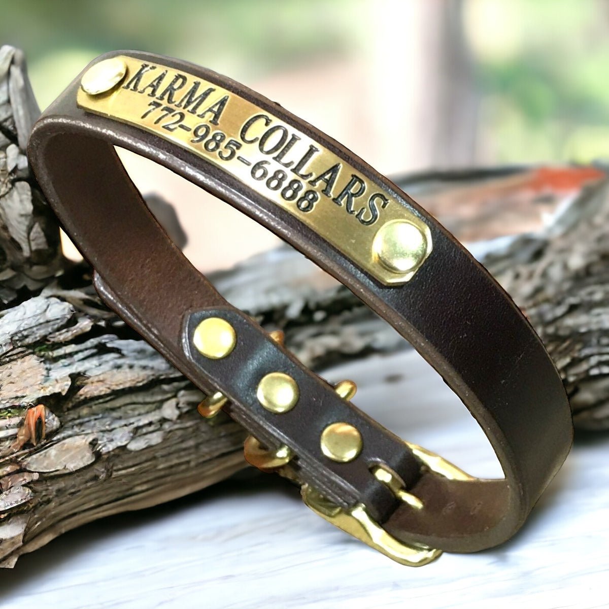 3/4" Wide Basic Leather Dog Collar with Nameplate
