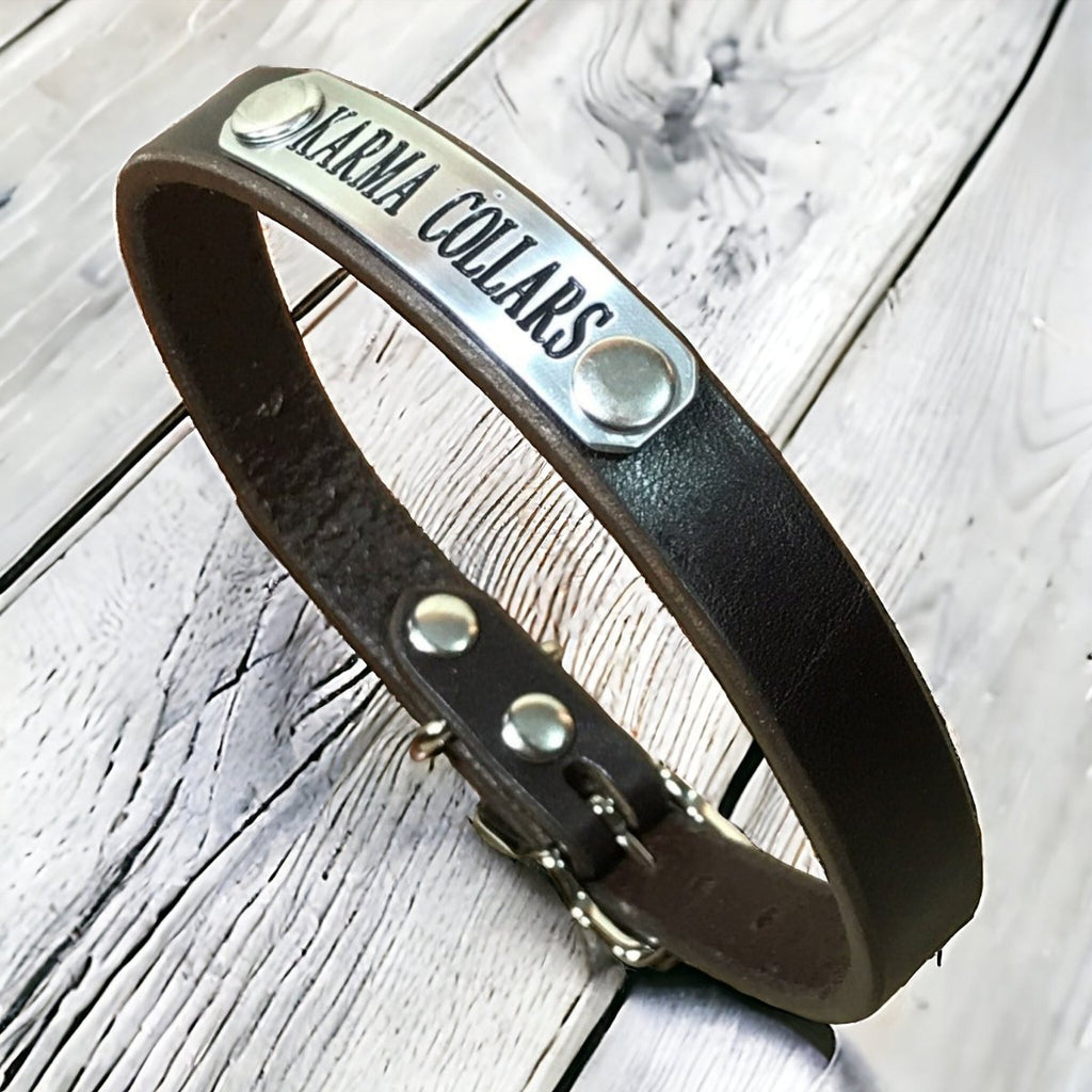 5/8" Wide Basic Leather Dog Collar with Nameplate