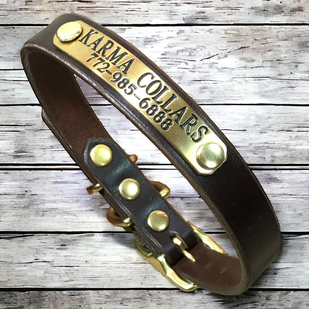 Leather Dog Collar with Nameplate 1 Inch Wide