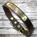 Leather Dog Collar with Nameplate 1 Inch Wide