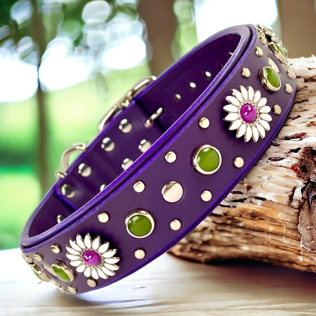 Purple Dog Collar Kalina