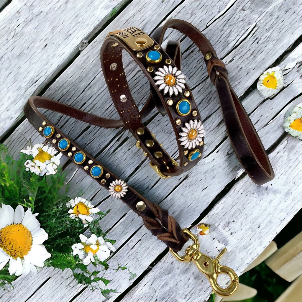 Personalized Leather Dog Collar Yessena