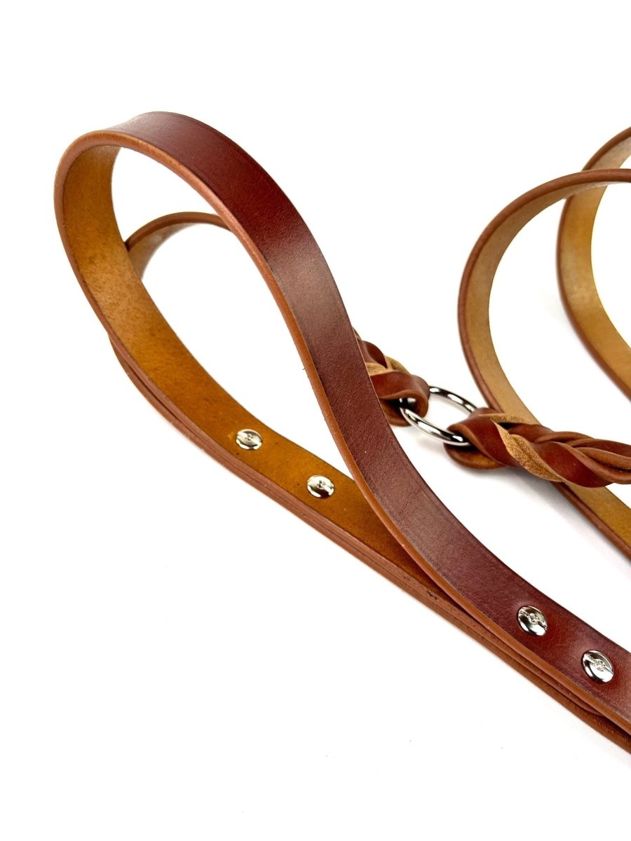 Double Handle Leather Leash