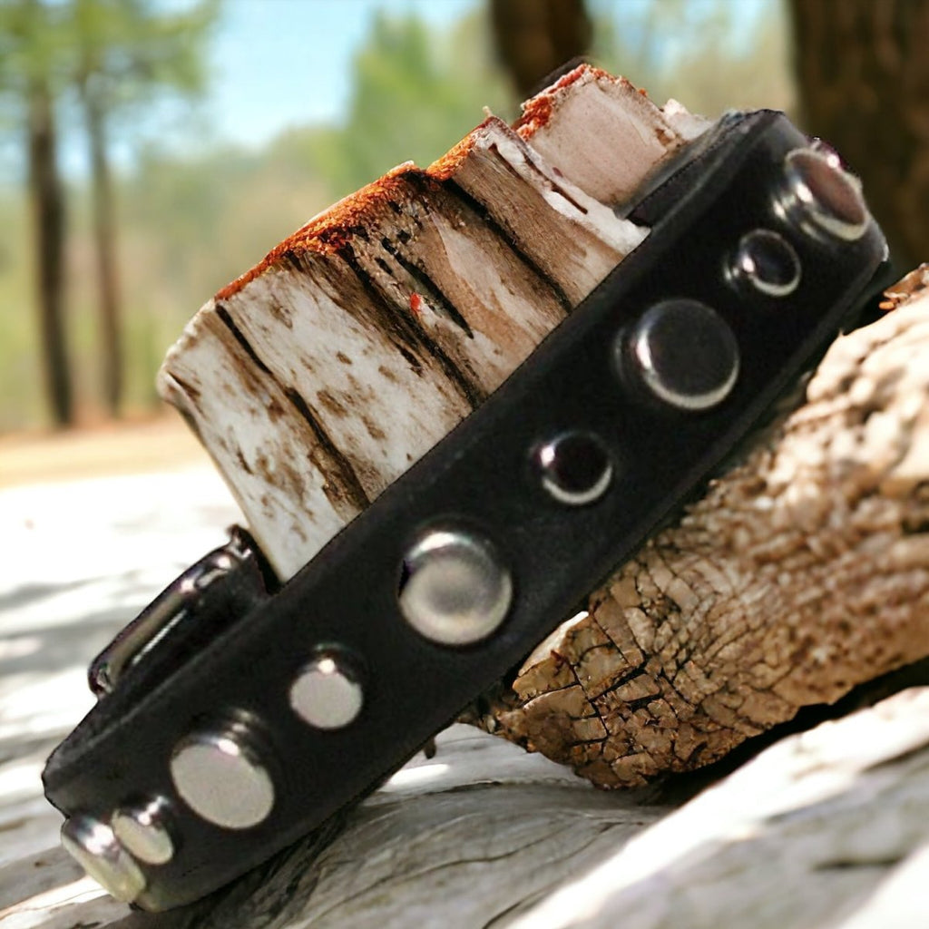 Mission Leather Dog Collar