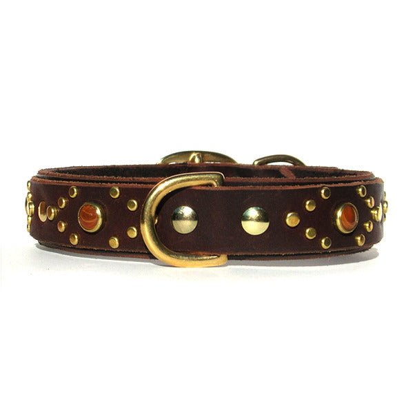 Phoenix Leather Dog Collar
