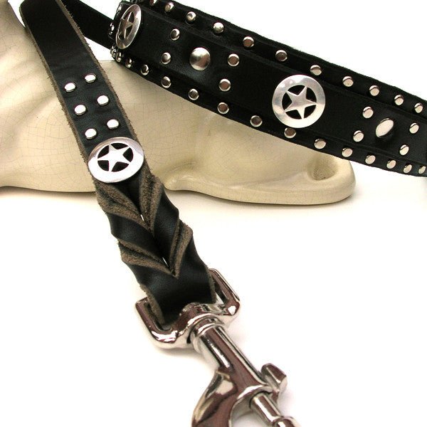 Matching Leather Dog Leash