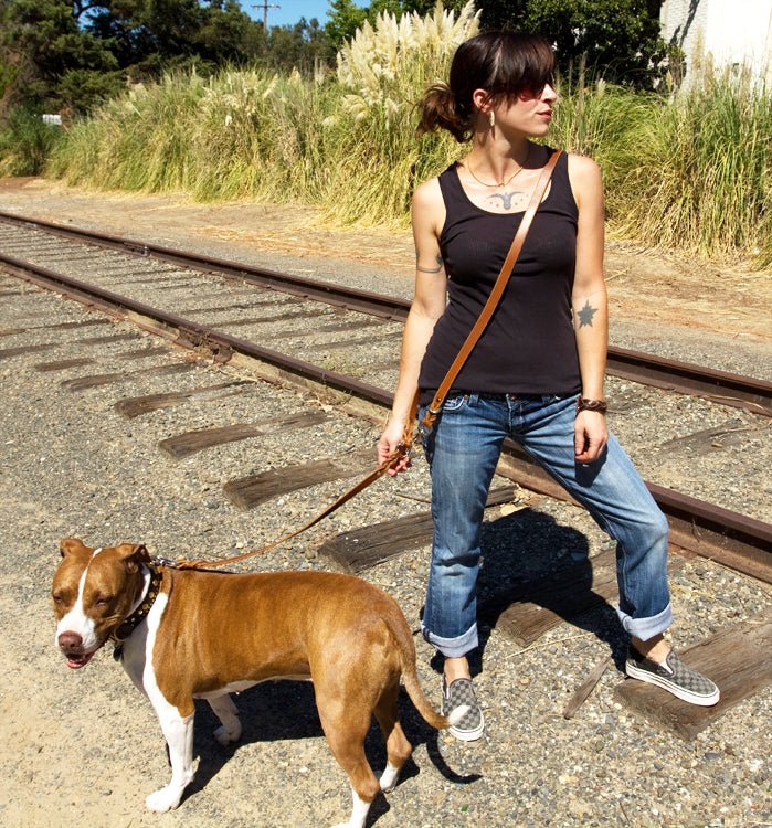 Double Ended Dog Leash