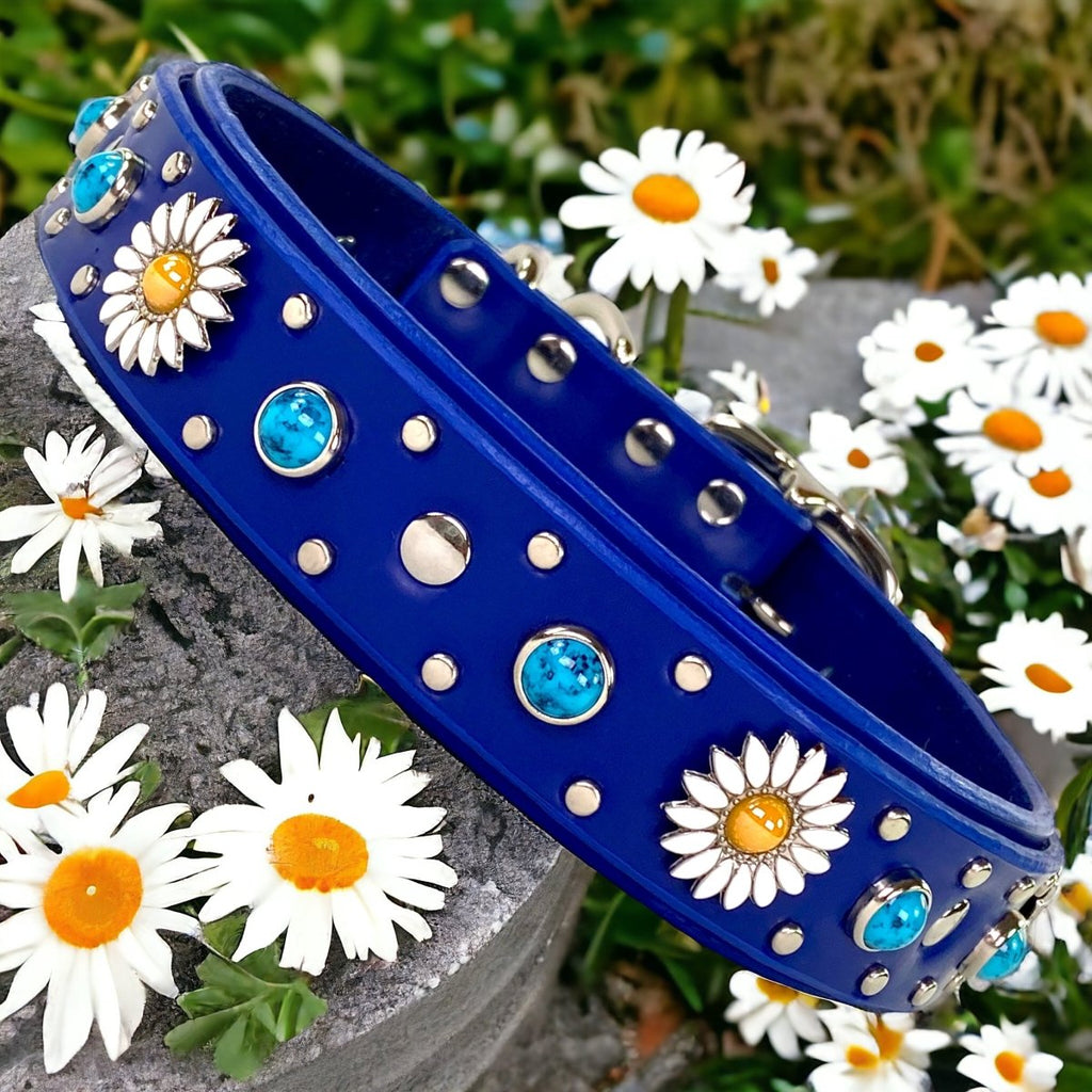 Blue Dog Collar Kalina
