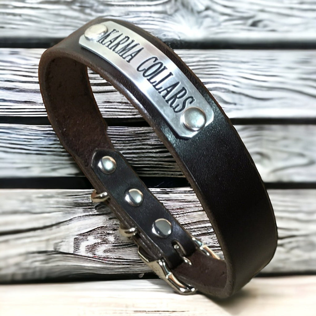 3/4" Wide Basic Leather Dog Collar with Nameplate