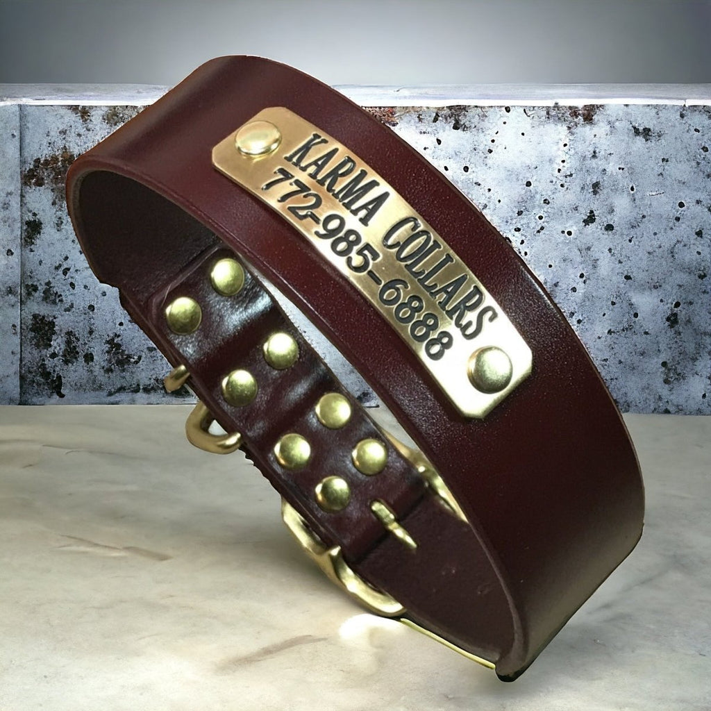 1.5" Wide Basic Leather Dog Collar with Nameplate