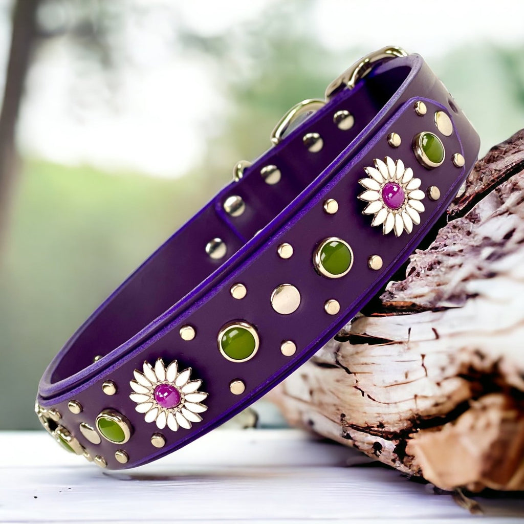 Purple Dog Collar Kalina