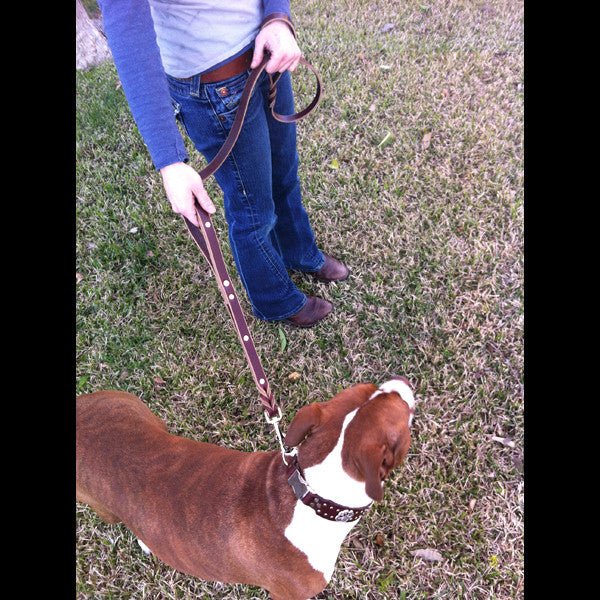 Double Handle Leather Leash