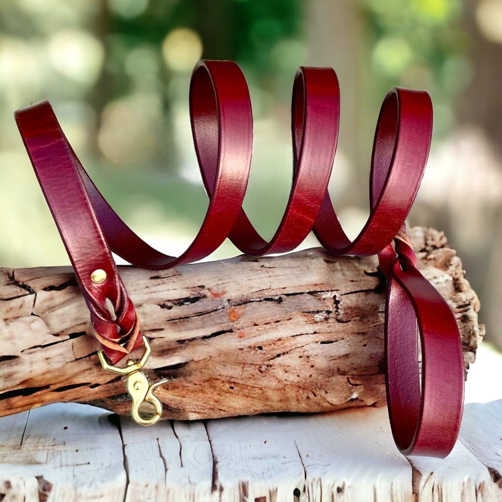 Traditional Leather Dog Leash