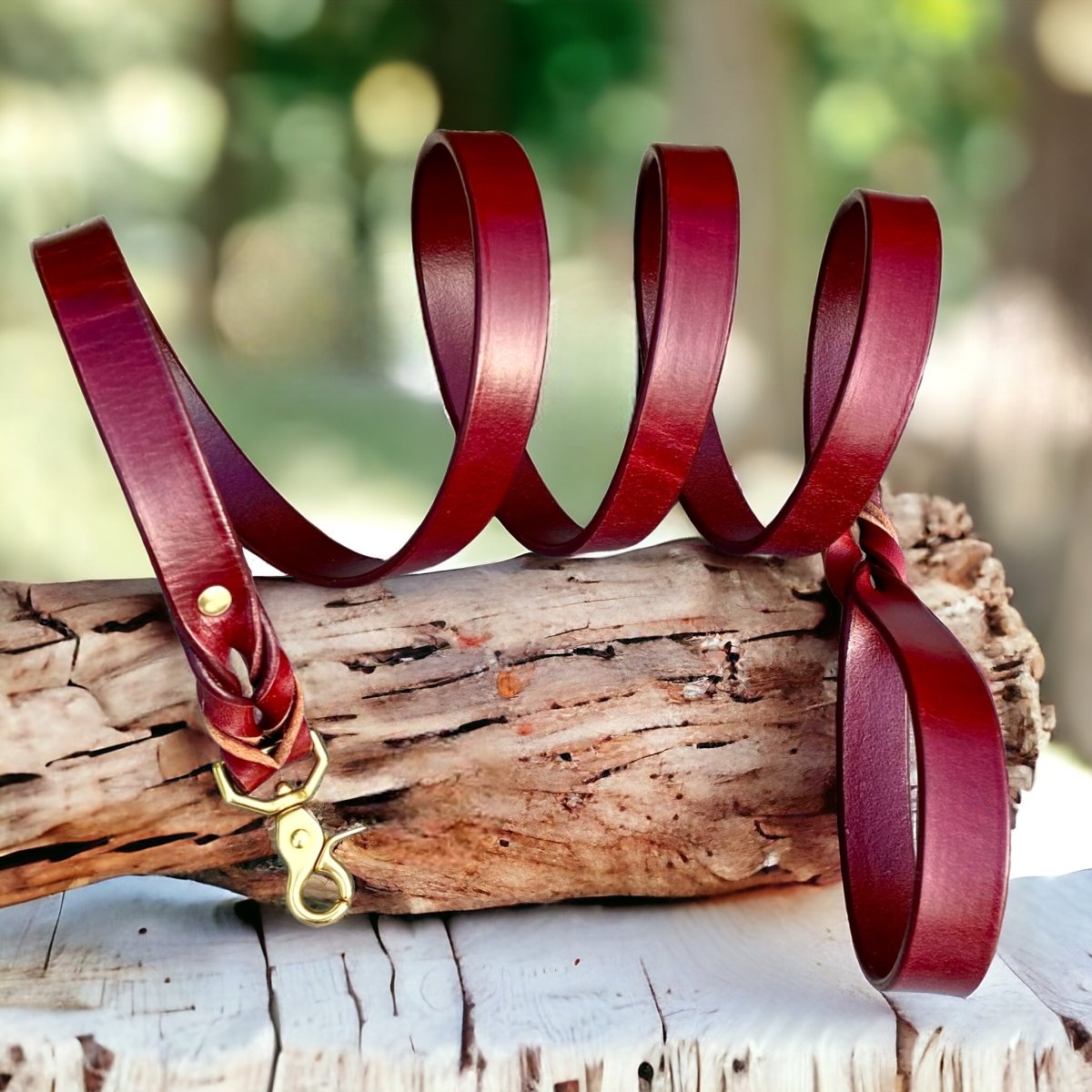 Traditional Leather Dog Leash