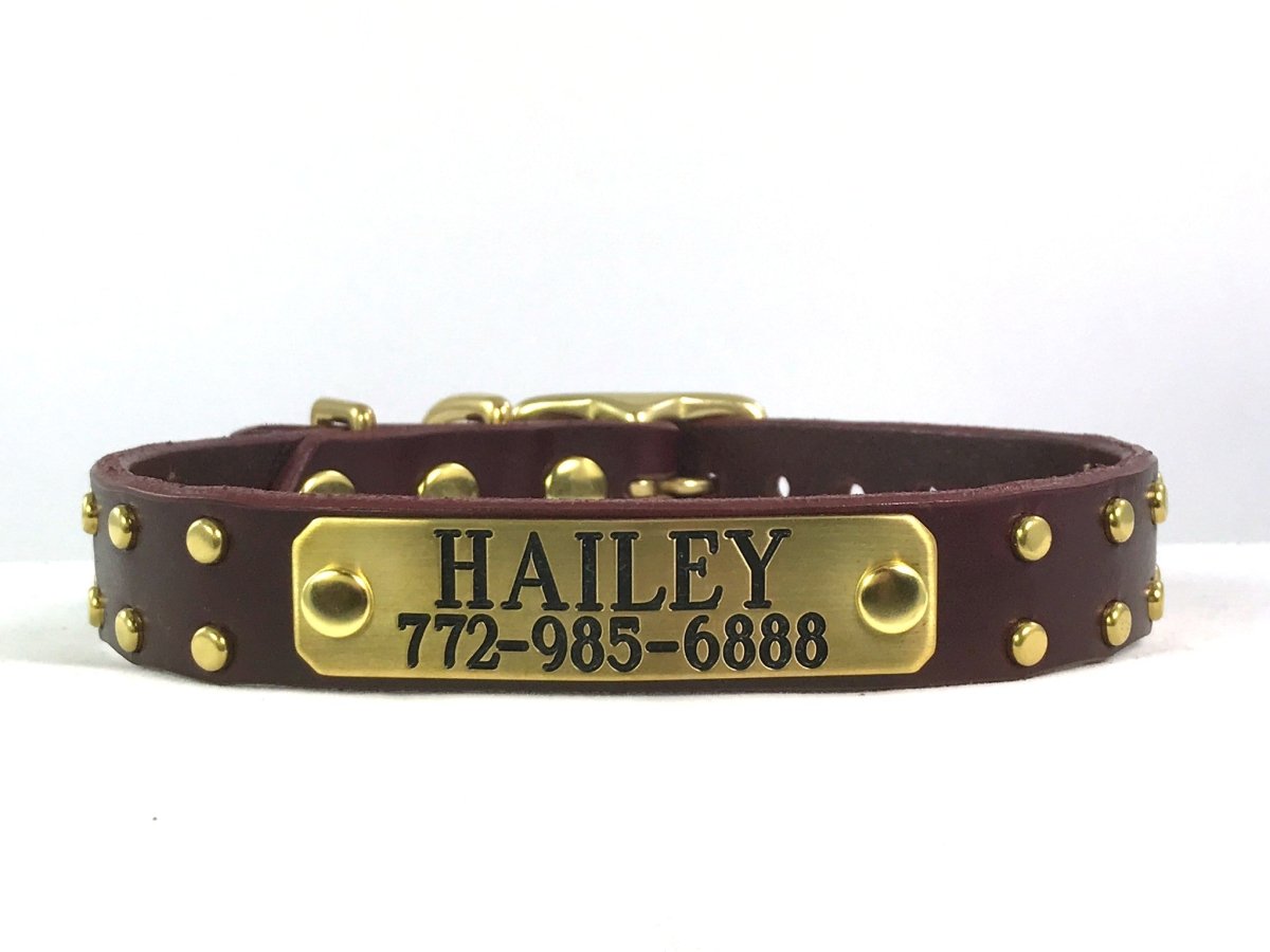 Native Leather Dog Collar