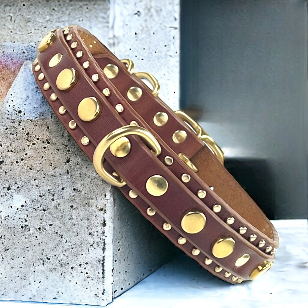 1.25" Havana Leather Dog Collar