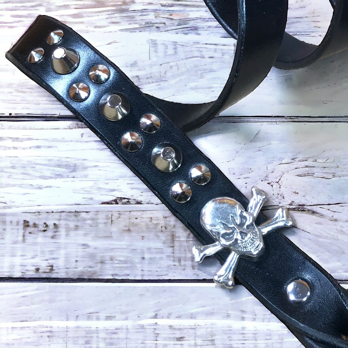 Matching Leather Dog Leash Barbarossa