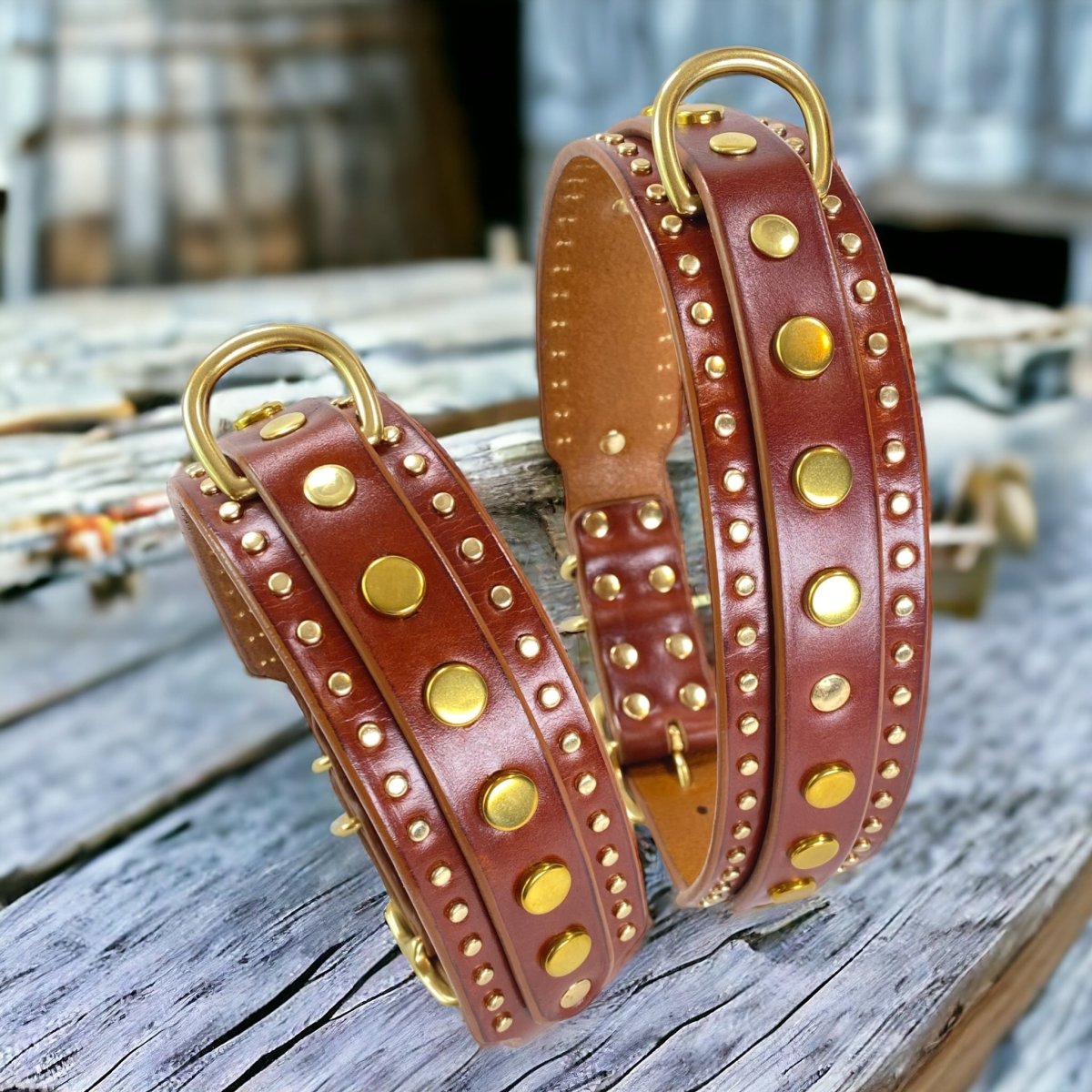 1.5" Havana Leather Dog Collar