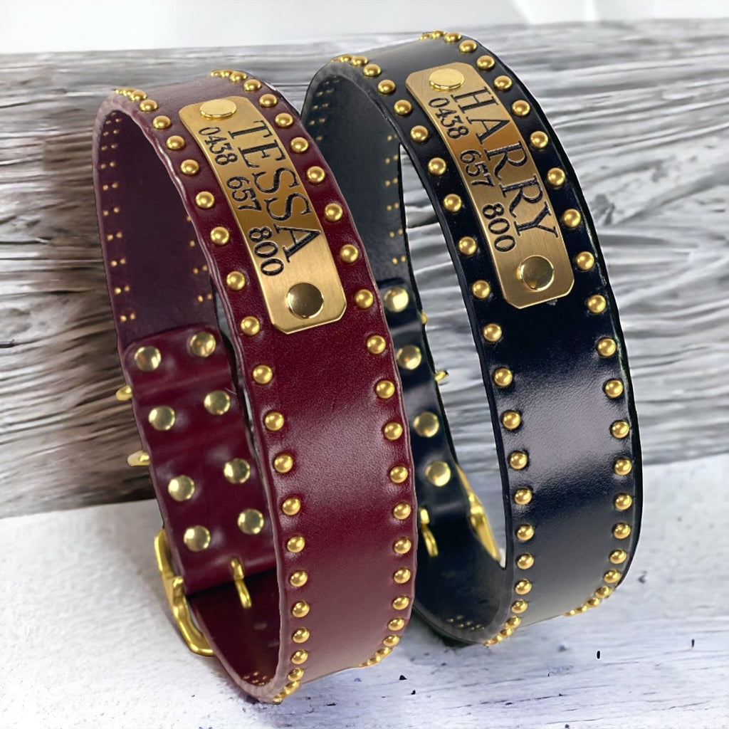 1.5" Wide Studded Leather Dog Collar with Nameplate