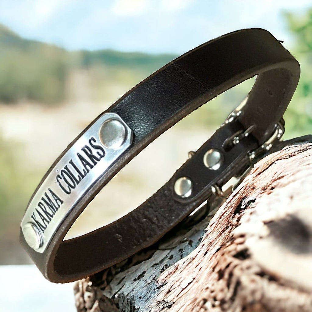 5/8" Wide Basic Leather Dog Collar with Nameplate