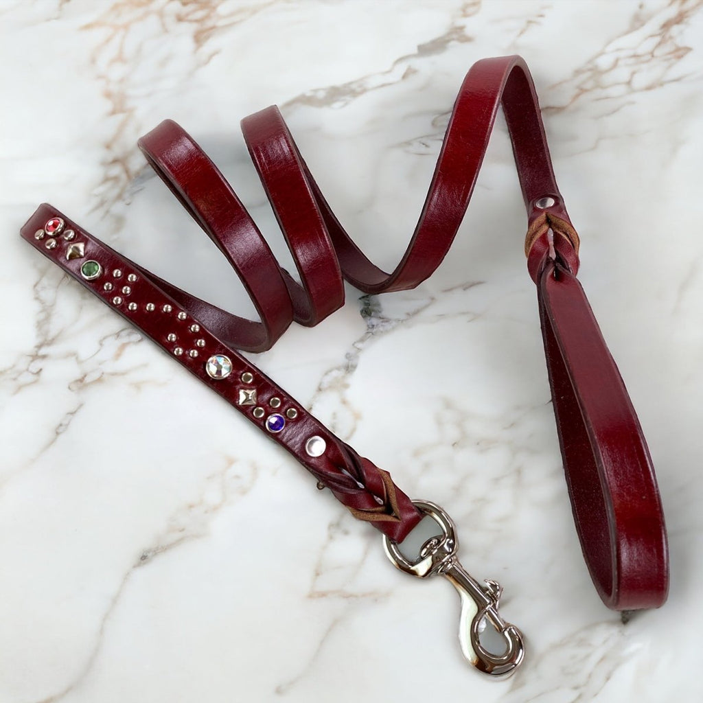 Stargazer Double Layer Dog Collar