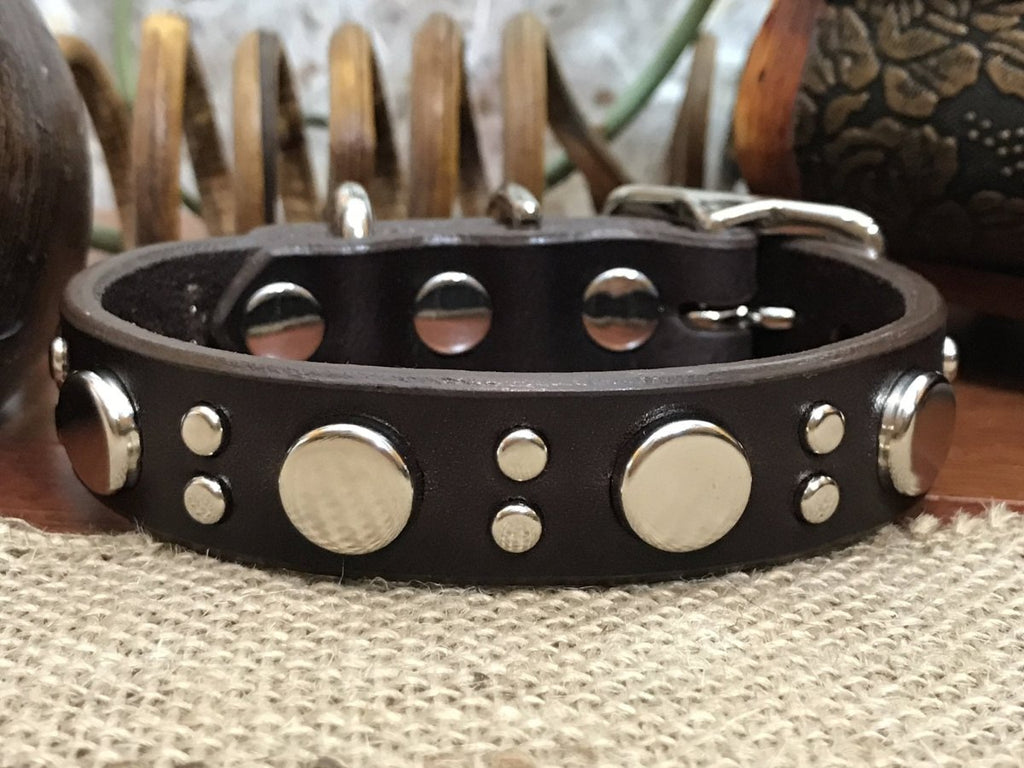 Brixton Leather Dog Collar