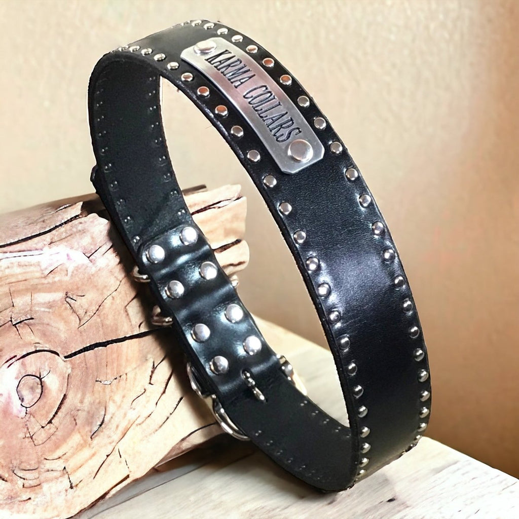1.5" Wide Studded Leather Dog Collar with Nameplate