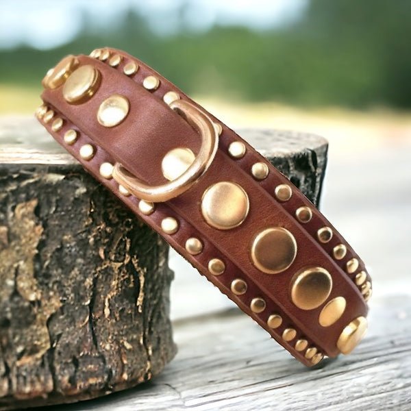 1.25" Havana Leather Dog Collar