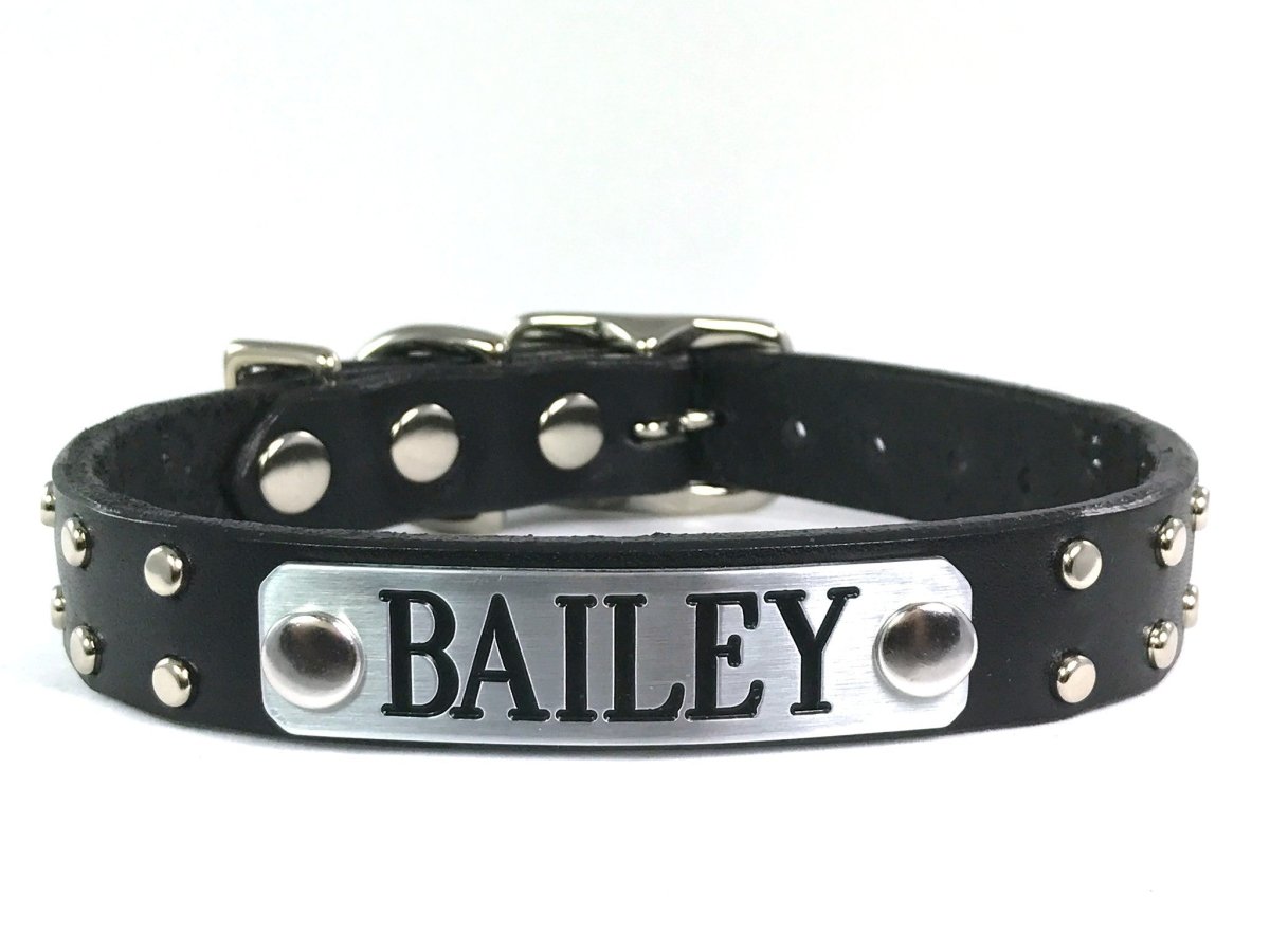 Native Leather Dog Collar