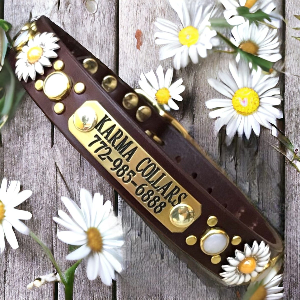 Yessena Nameplate Leather Dog Collar