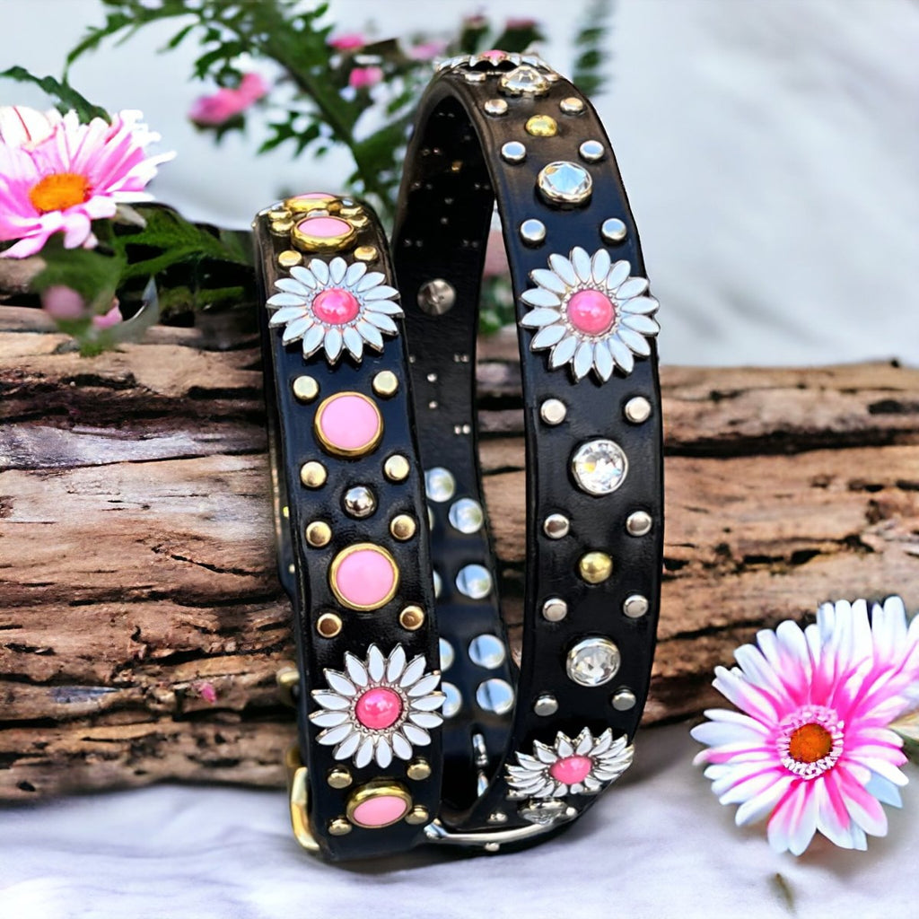 Designer Leather Dog Collar Yessena