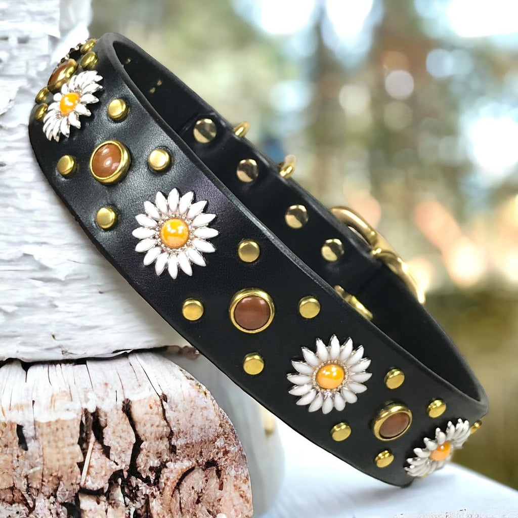 Kalina Leather Dog Collar SL