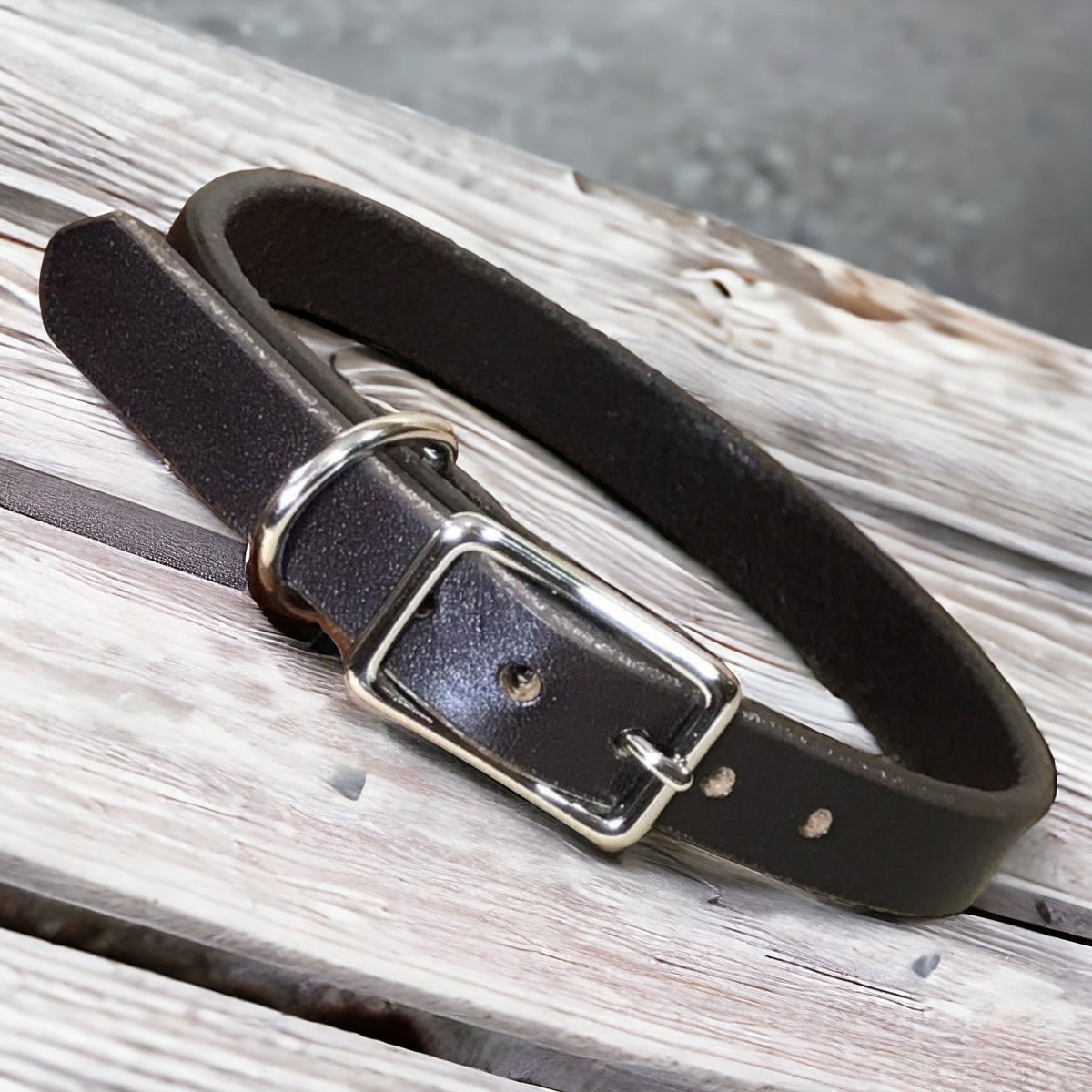 5/8" Wide Basic Leather Dog Collar with Nameplate