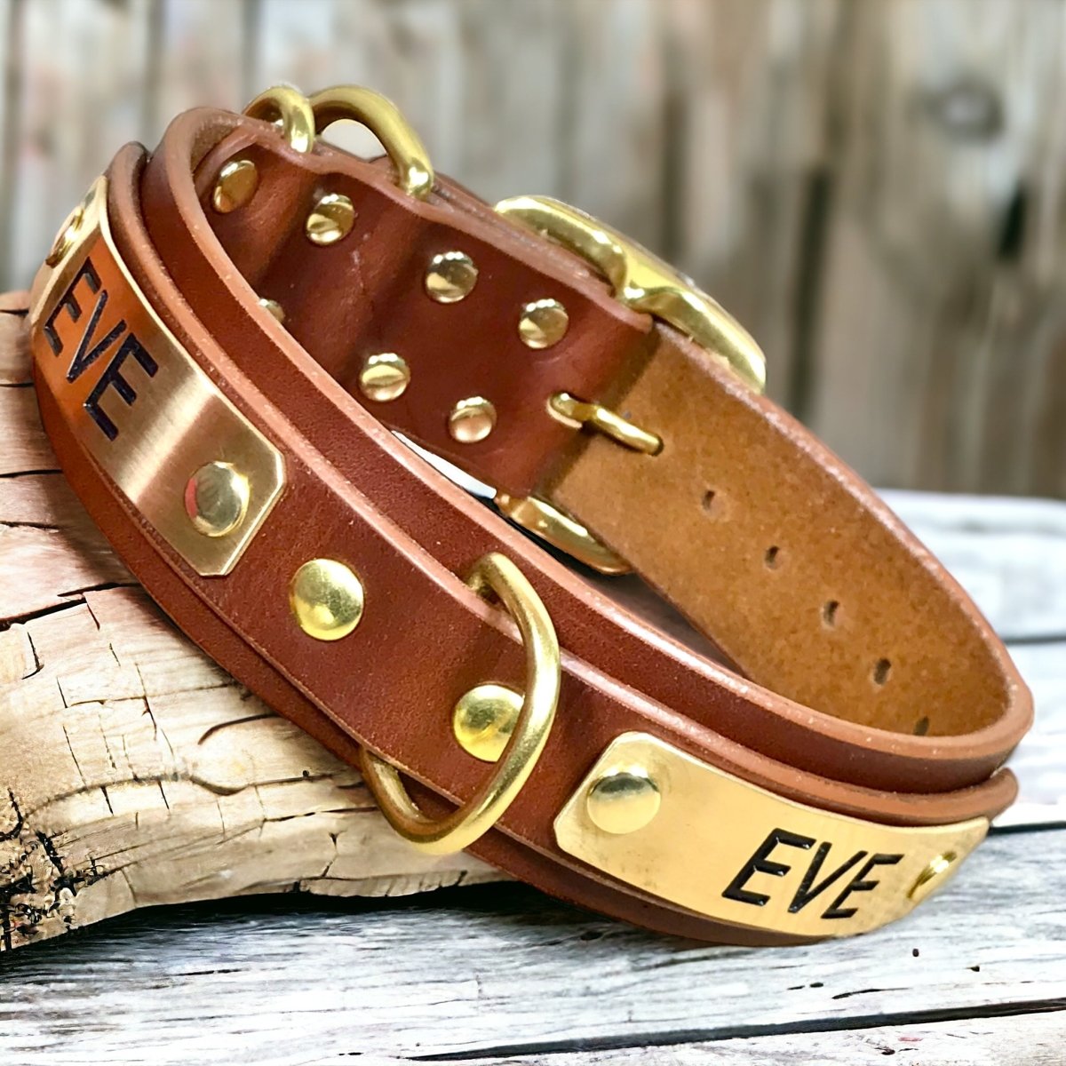 ENGRAVED LEATHER DOG COLLAR 2 PLATES