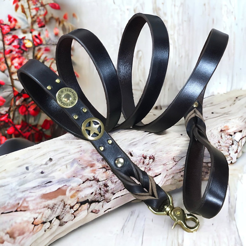 Matching Leather Dog Leash Hustler