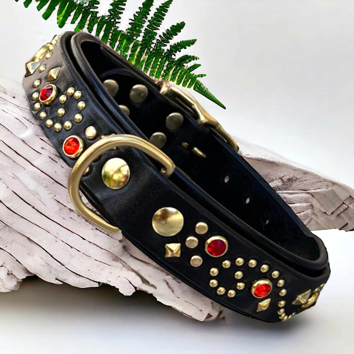 Stargazer Double Layer Dog Collar