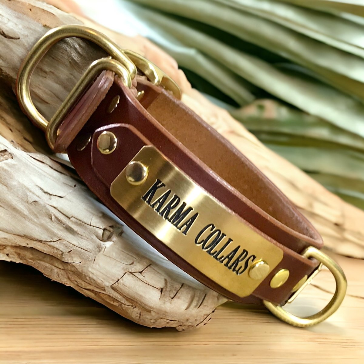 ENGRAVED LEATHER DOG COLLAR 2 PLATES
