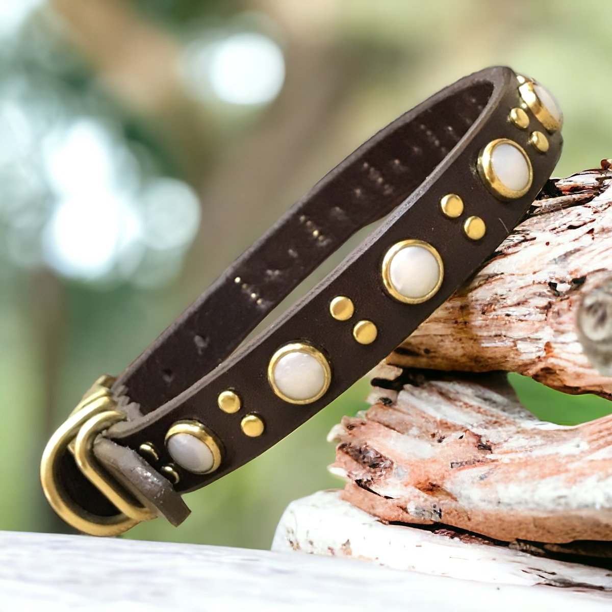 Leather Dog Collar Zion