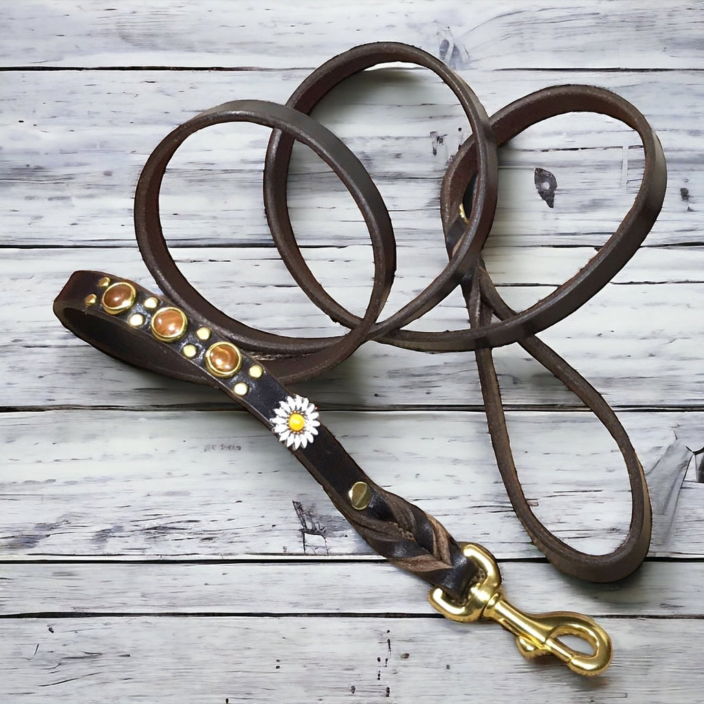 Matching Leather Dog Leash