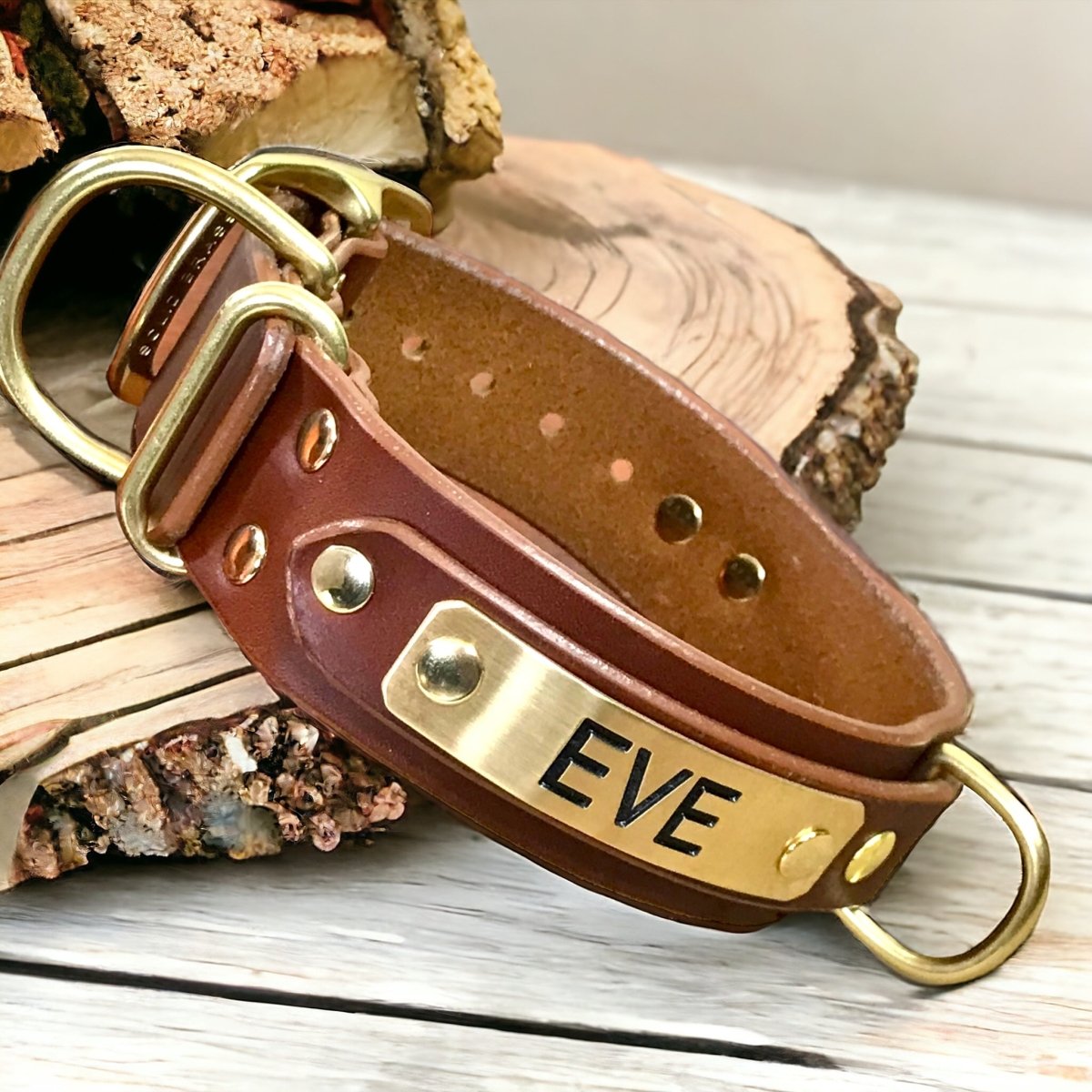 ENGRAVED LEATHER DOG COLLAR 2 PLATES