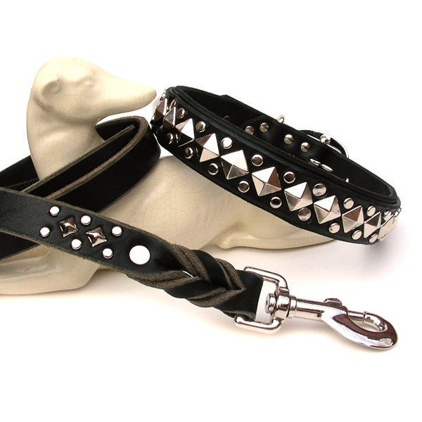 Matching Leather Dog Leash