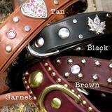 Leather Dog Collar with Nameplate 1 Inch Wide