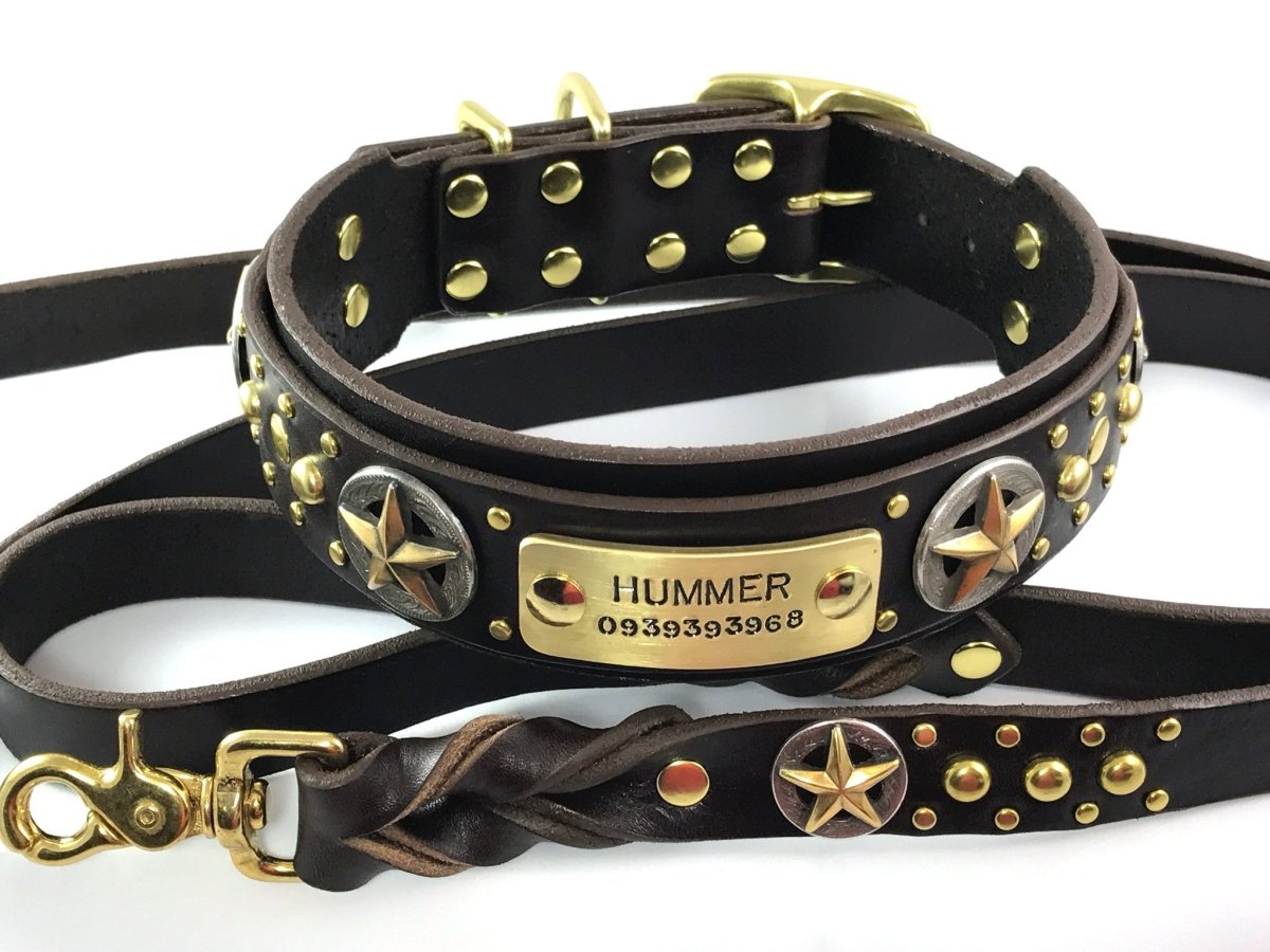 Matching Leather Dog Leash